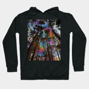 Takua Hoodie